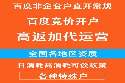 百度SEO推广实战案例：提升网站排名